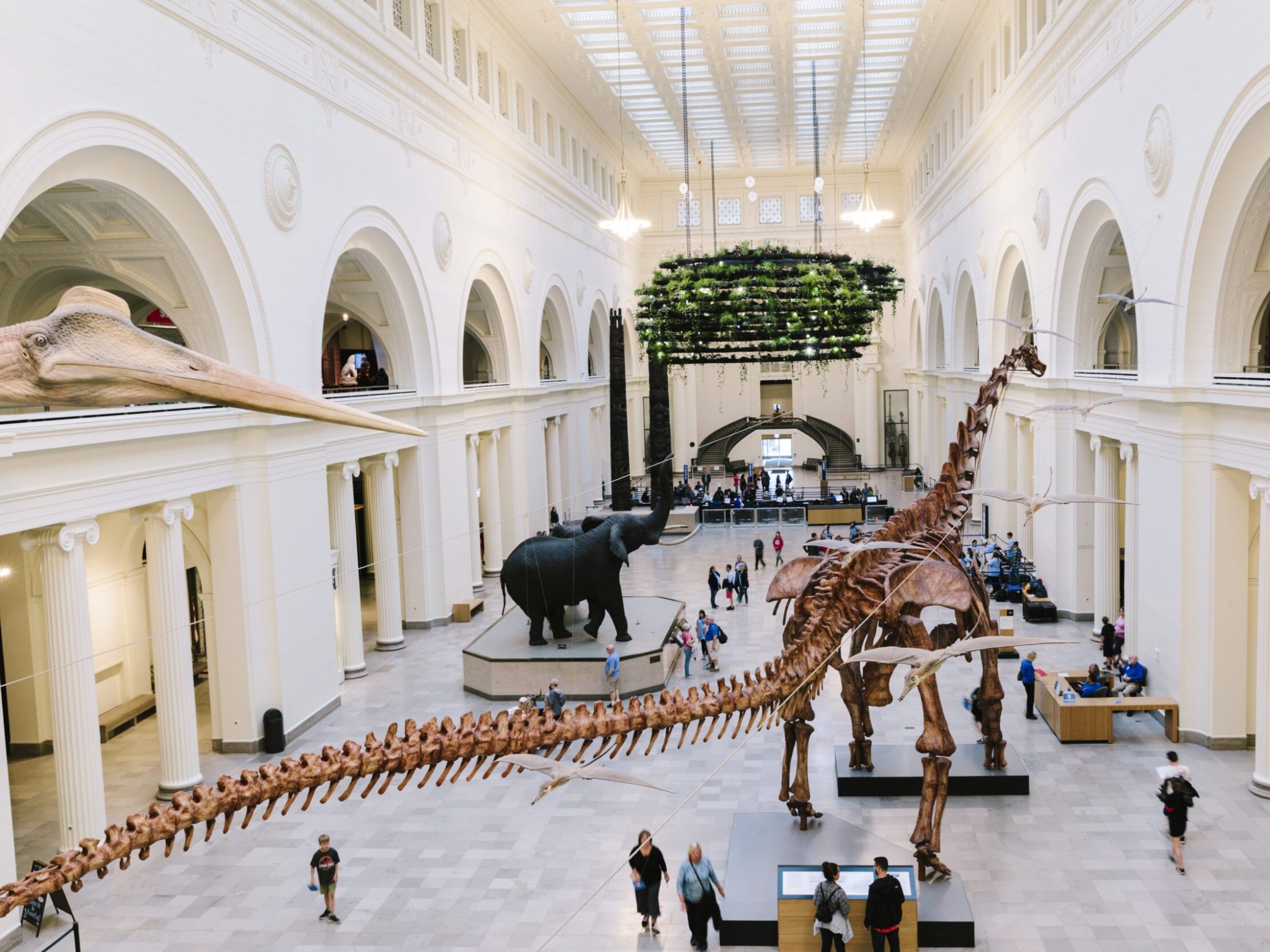 Field Museum